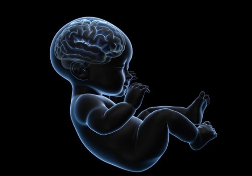 Understanding Prenatal Development: Causes and Impact on Learning Disorders